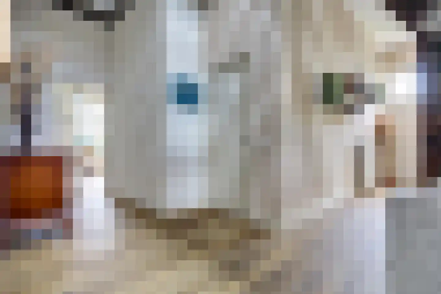 Kadijk 1 Terwolde thumbnail 21