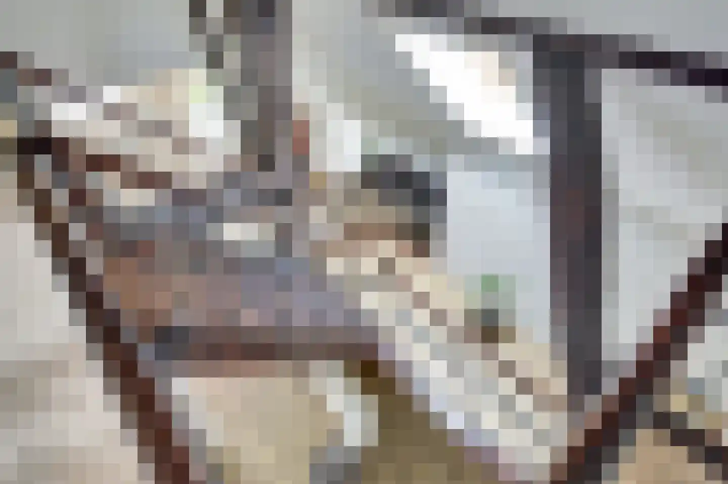 Kadijk 1 Terwolde thumbnail 48