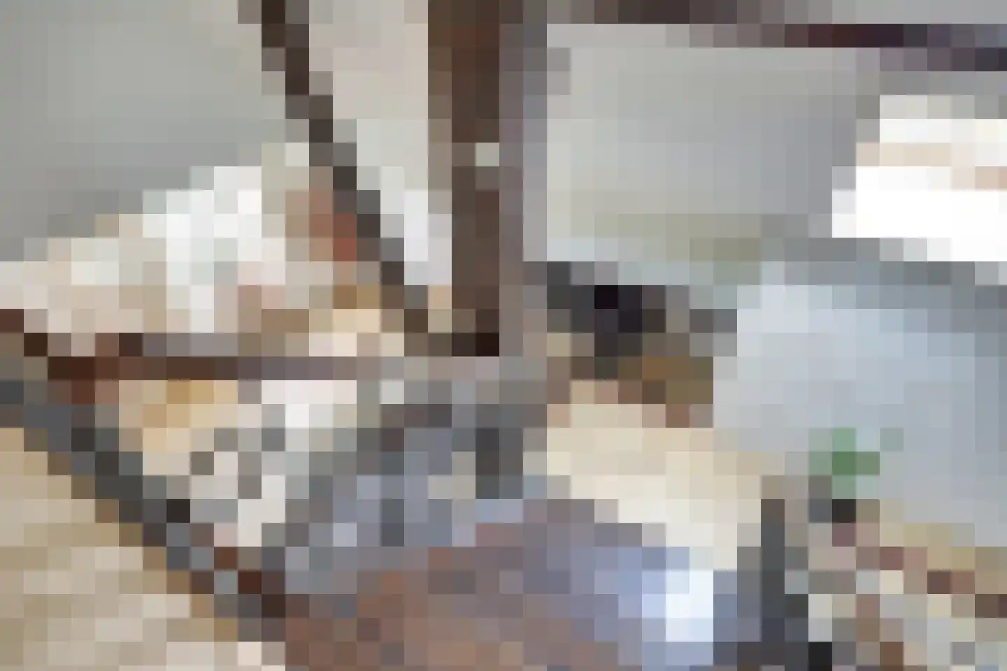 Kadijk 1 Terwolde thumbnail 49