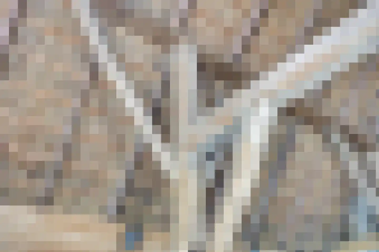 Kadijk 1 Terwolde thumbnail 65