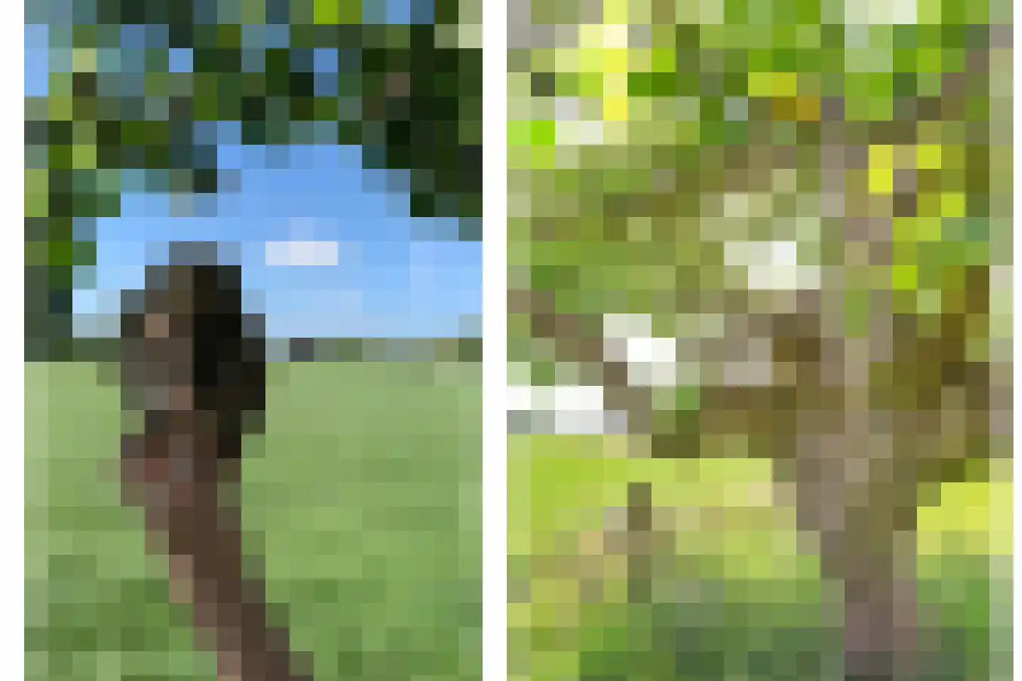 Kadijk 1 Terwolde thumbnail 69
