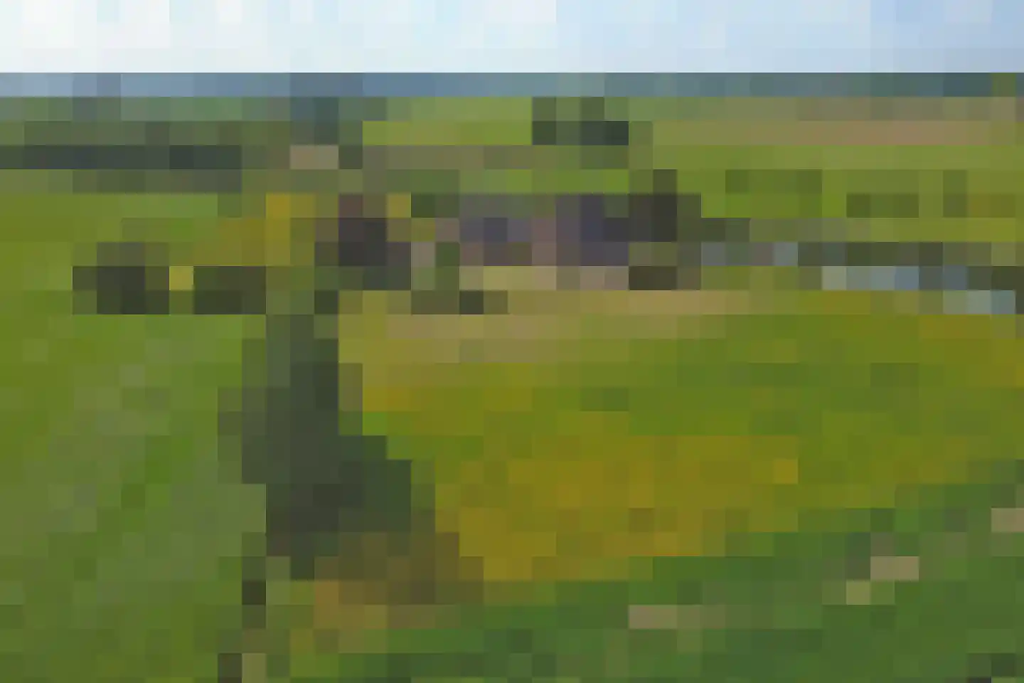 Kadijk 1 Terwolde thumbnail 78