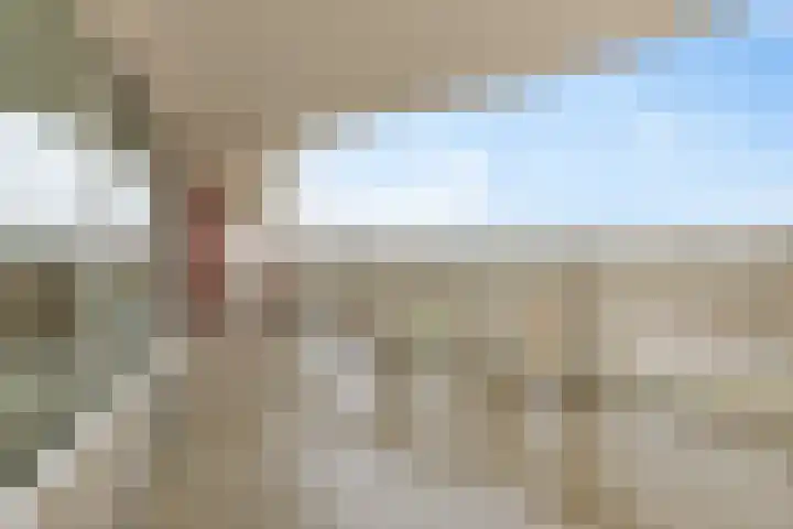 Kadijk 10 Delfzijl thumbnail 36