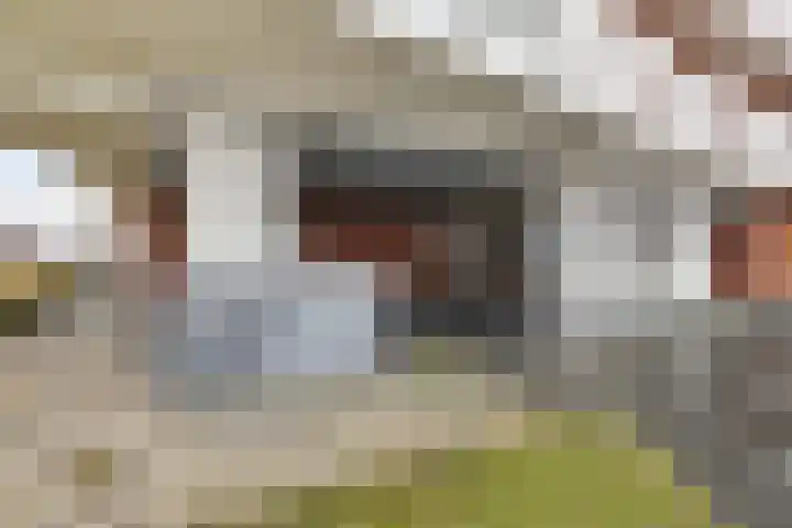 Kadijk 10 Delfzijl thumbnail 5