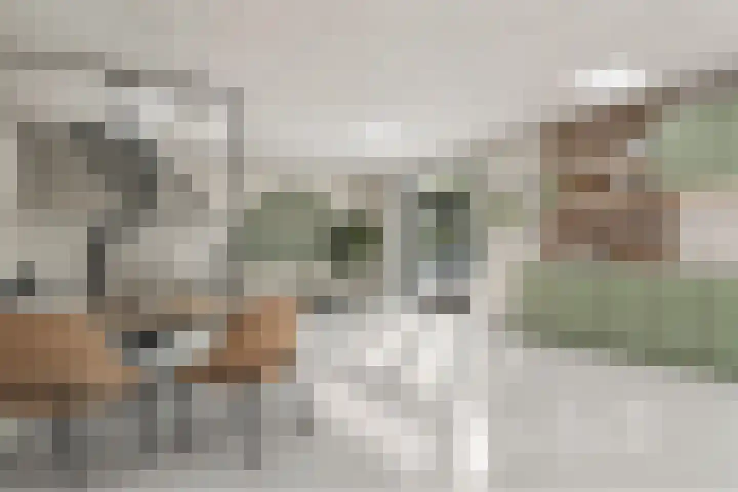 Kadijk 10 Venhuizen thumbnail 17
