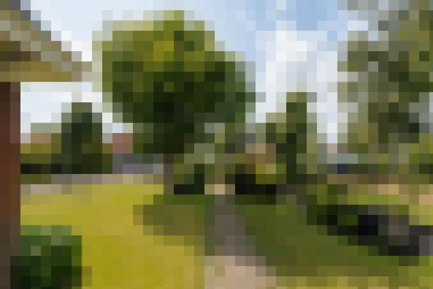 Kadijk 10 Venhuizen thumbnail 24