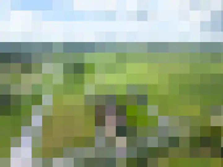 Kadijk 12 Bergambacht thumbnail 30