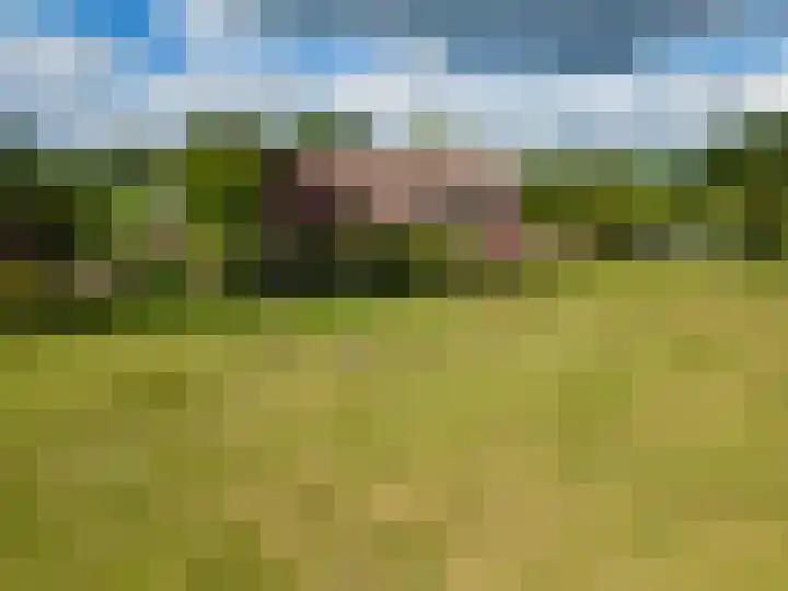 Kadijk 12 Bergambacht thumbnail 32