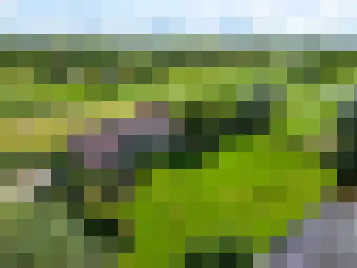 Kadijk 12 Bergambacht thumbnail 33