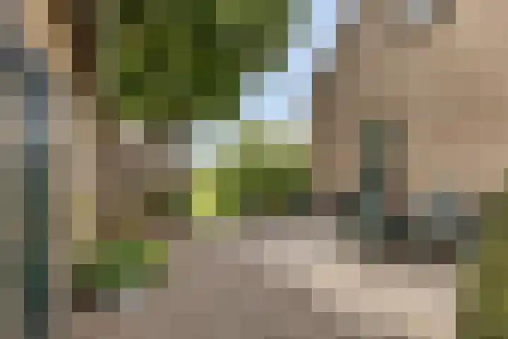 Kadijk 12 Bergambacht thumbnail 36