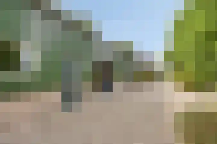 Kadijk 12 Bergambacht thumbnail 37