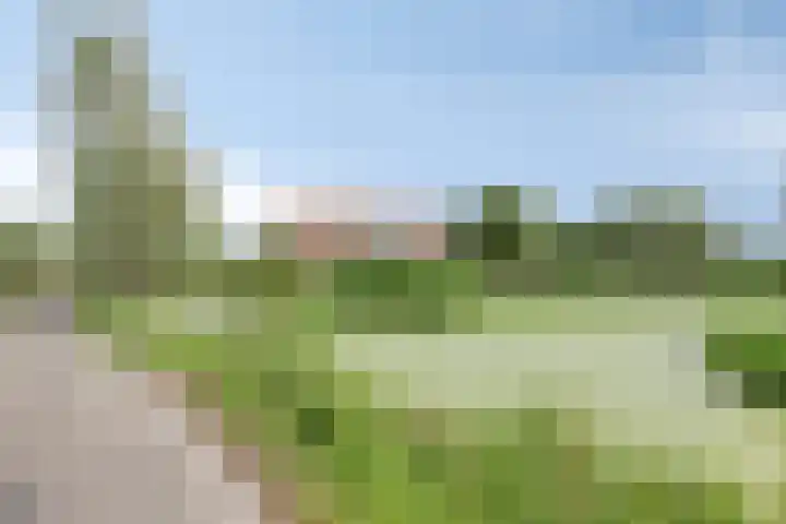 Kadijk 12 Bergambacht thumbnail 4