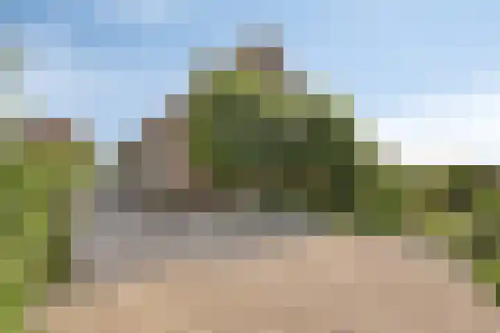 Kadijk 12 Bergambacht thumbnail 5