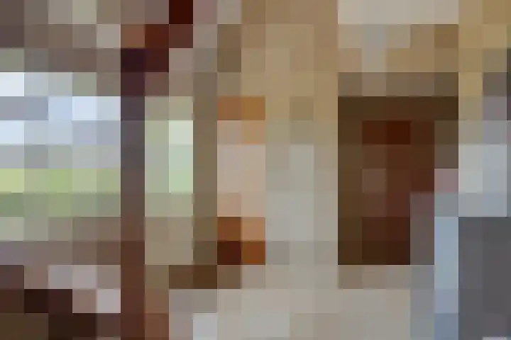 Kadijk 12 Bergambacht thumbnail 8