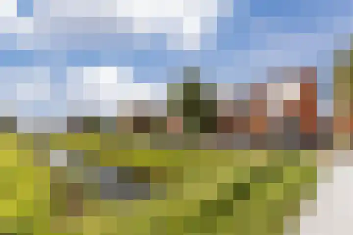Kadijk 13 Heemskerk thumbnail 29