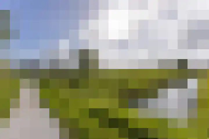 Kadijk 13 Heemskerk thumbnail 30
