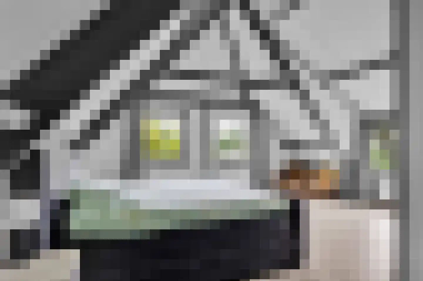 Kadijk 19 Lemmer thumbnail 33
