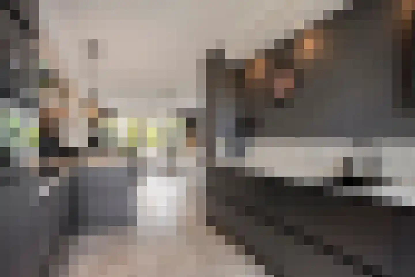 Kadijk 3 Heemskerk thumbnail 11