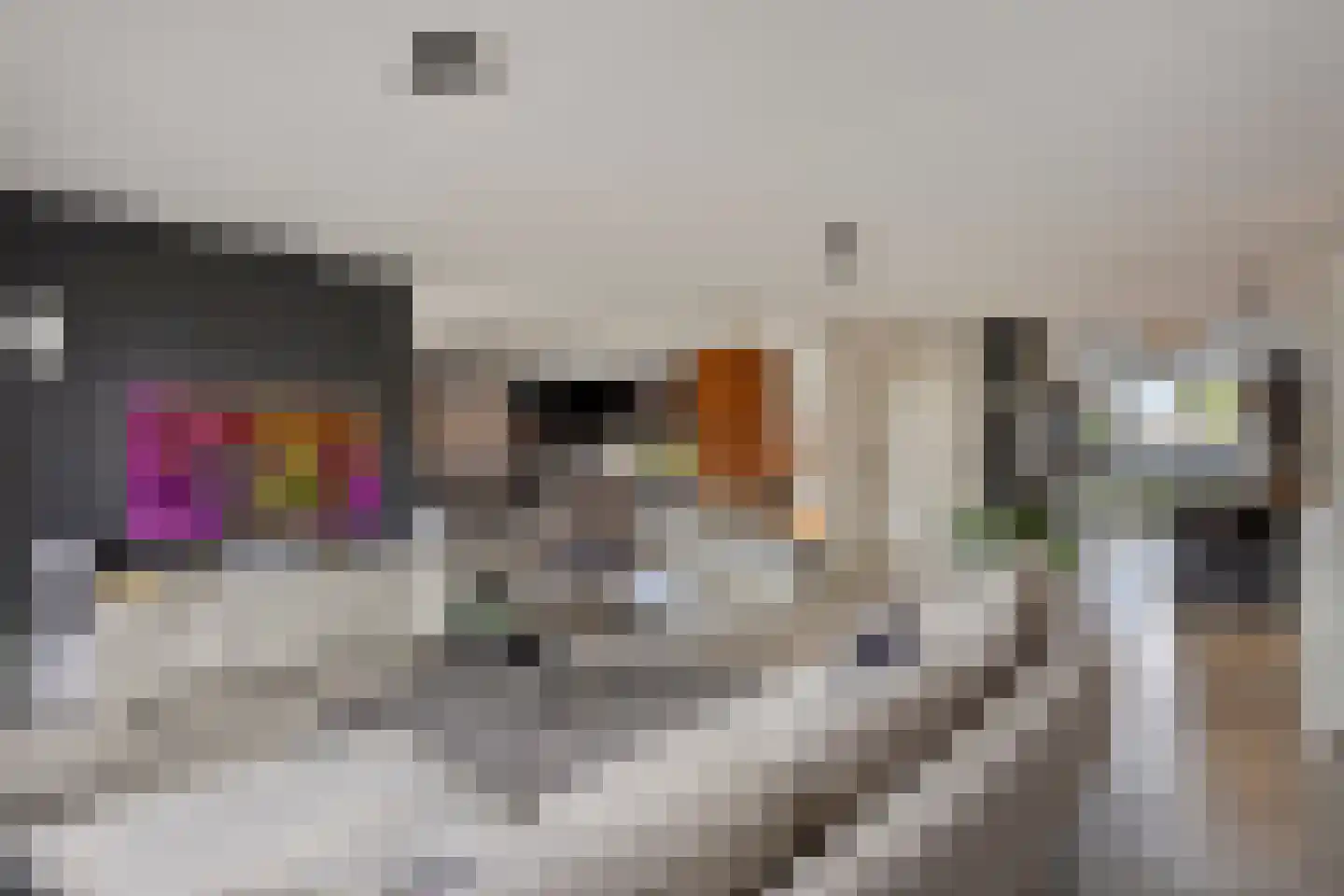 Kadijk 3 Heemskerk thumbnail 4