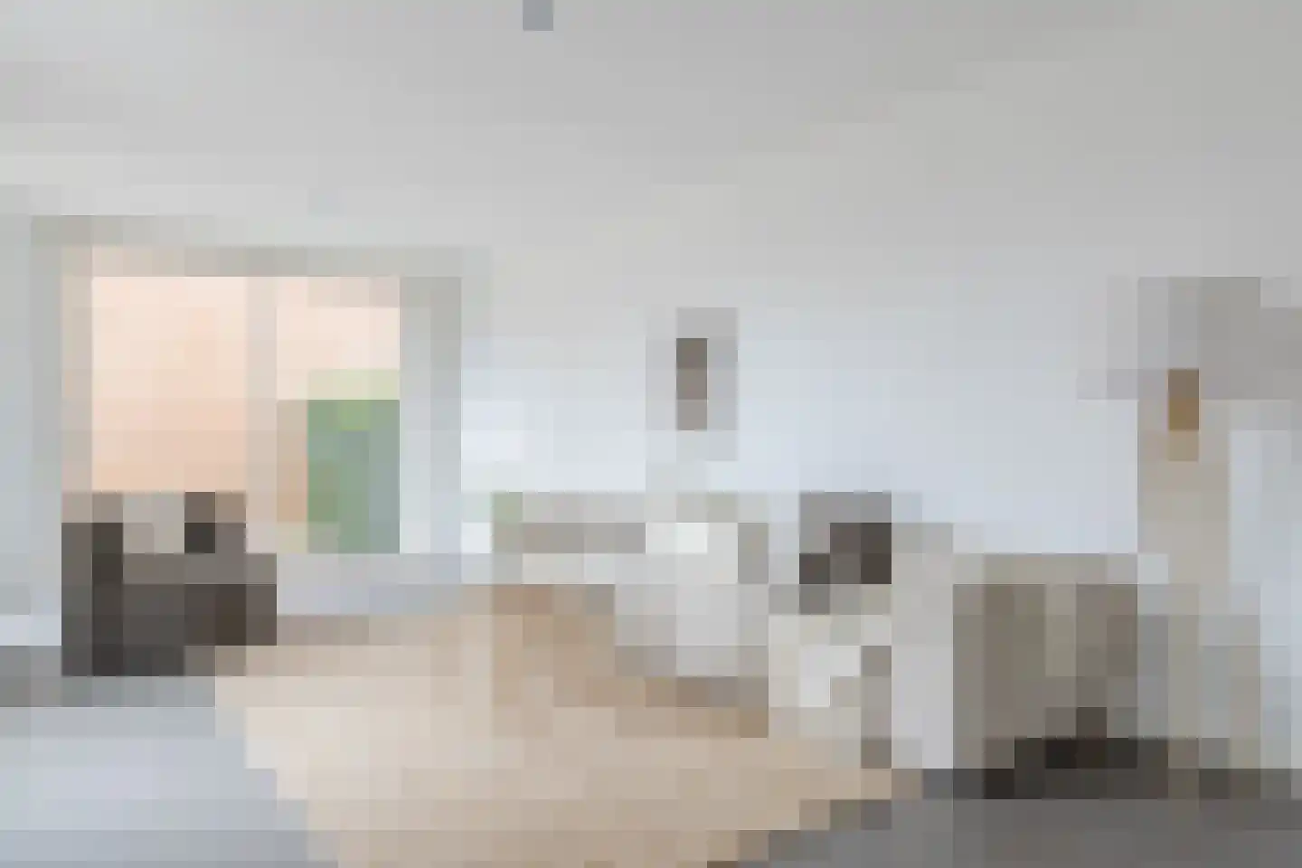 Kadijk 4 c Bergambacht thumbnail 32