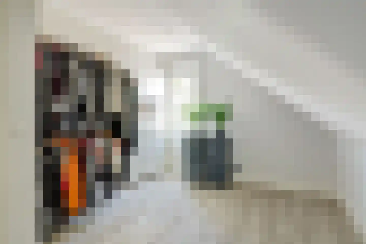 Kadijkweg 53 Lutjebroek thumbnail 22