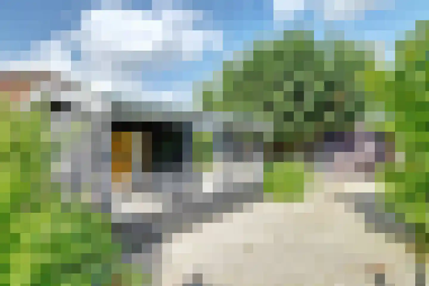 Kadijkweg 53 Lutjebroek thumbnail 37