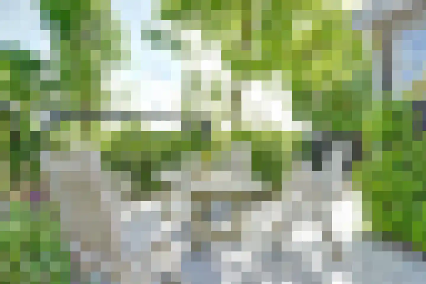 Kadijkweg 53 Lutjebroek thumbnail 41