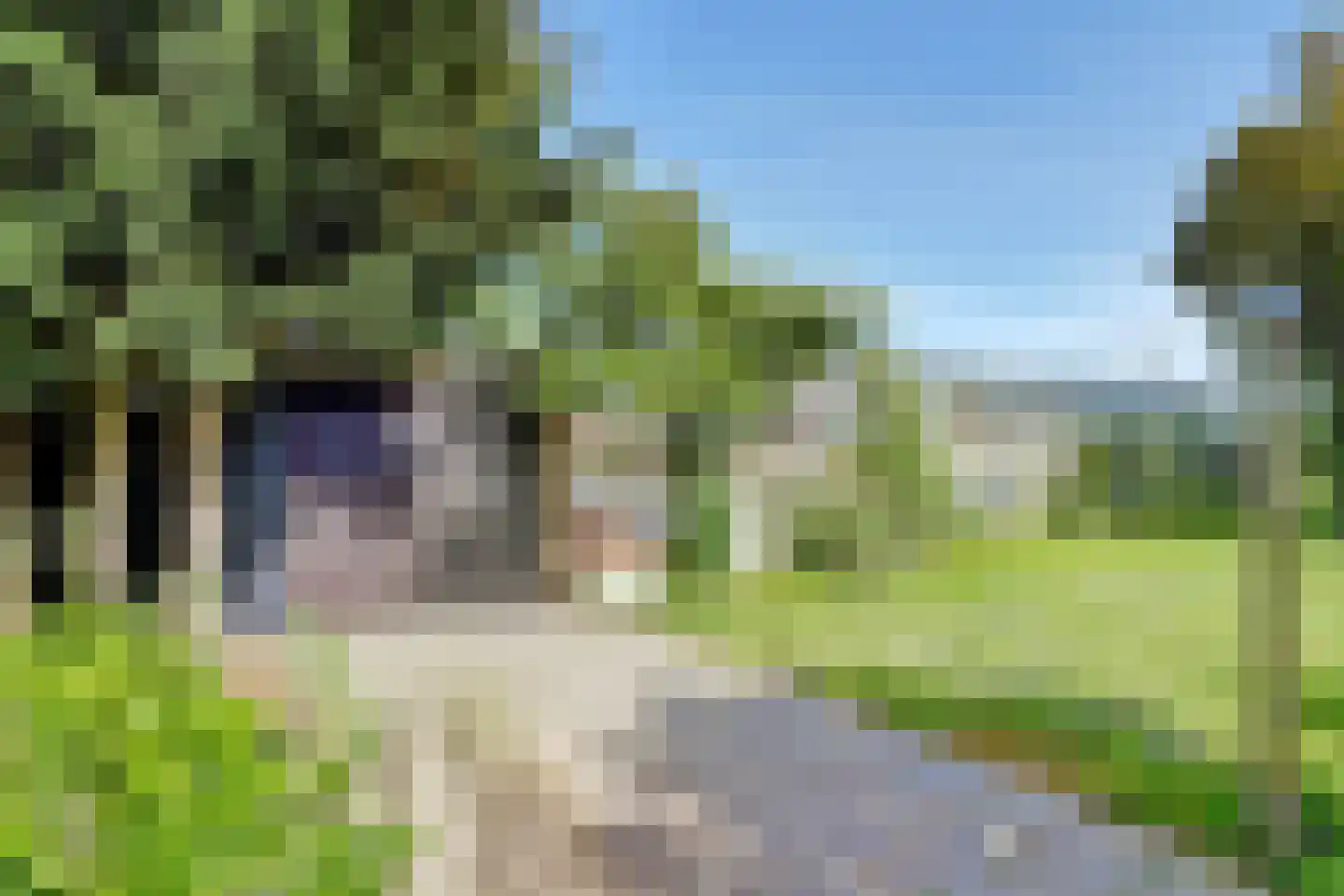 Kadijkweg 53 Lutjebroek thumbnail 42