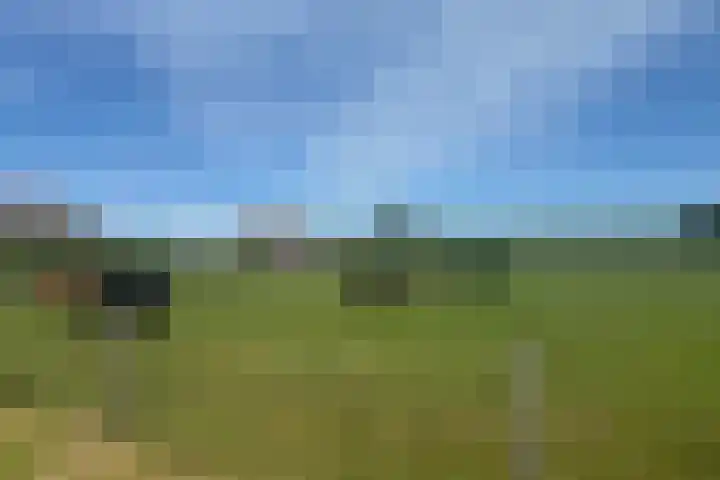 Kadoelen 16 Sint Jansklooster thumbnail 11