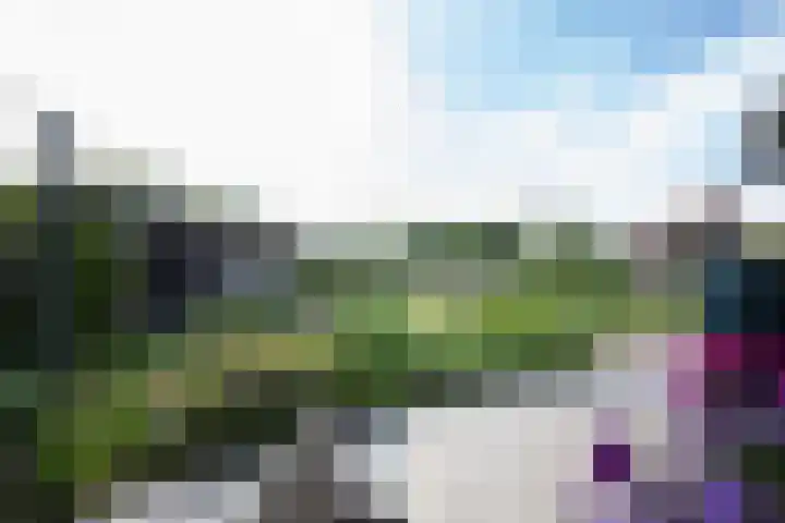 Kadoelen 16 Sint Jansklooster thumbnail 33