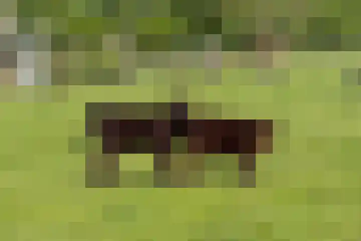 Kadoelen 16 Sint Jansklooster thumbnail 4