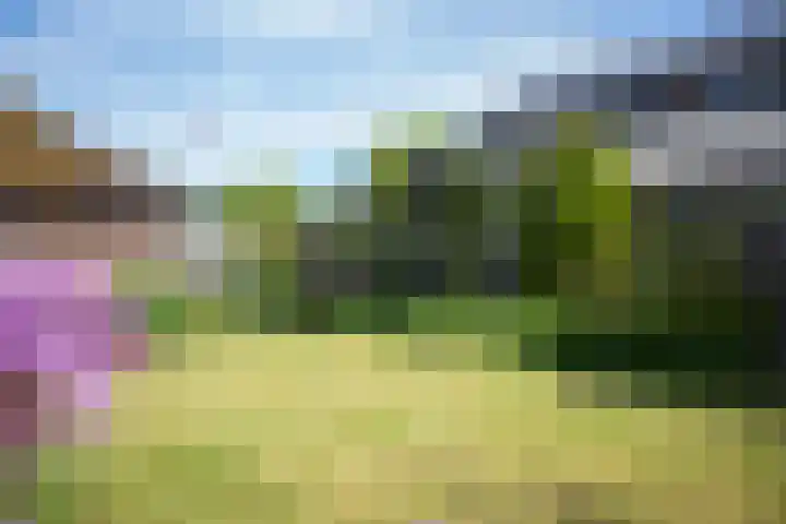 Kadoelen 16 Sint Jansklooster thumbnail 40