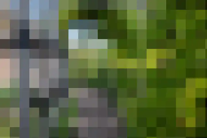 Kadoelen 16 Sint Jansklooster thumbnail 43
