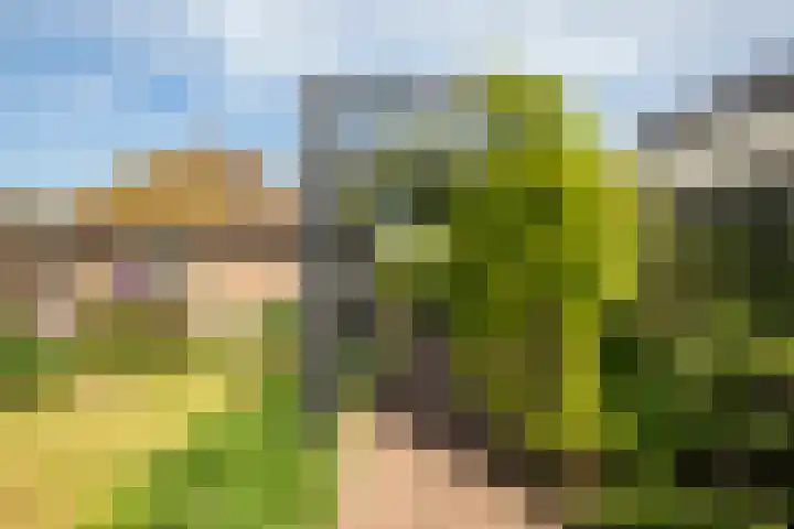Kadoelen 16 Sint Jansklooster thumbnail 47