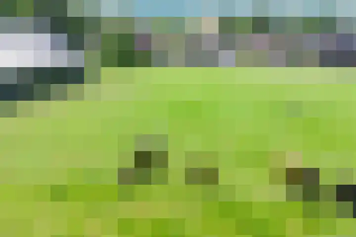 Kadoelen 16 Sint Jansklooster thumbnail 6