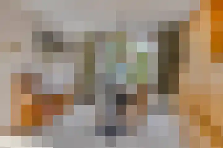 Kadoelenstraat 4 Purmerend thumbnail 10