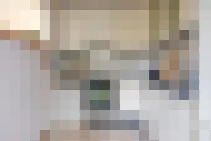 Kadoelenstraat 4 Purmerend thumbnail 13