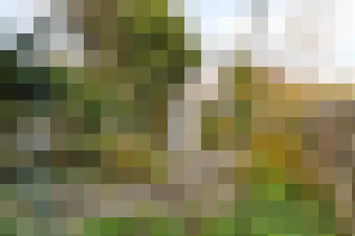 Kadoelenstraat 4 Purmerend thumbnail 30