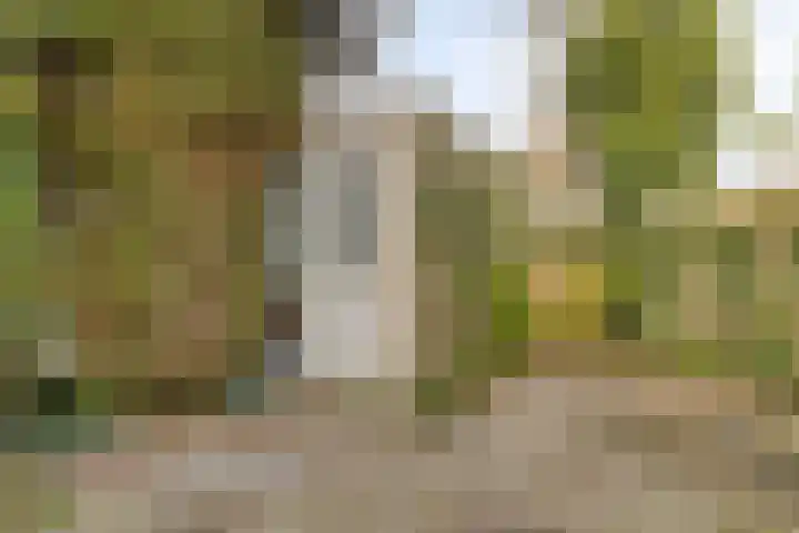 Kadoelenstraat 4 Purmerend thumbnail 31