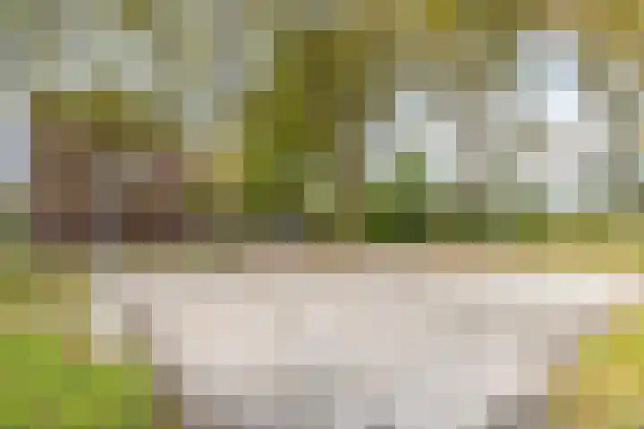 Kadoelenstraat 4 Purmerend thumbnail 34