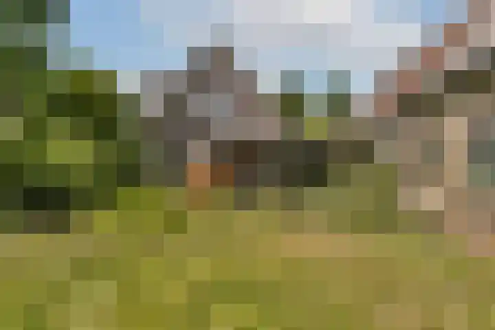 Kadoelenweg 117 Amsterdam thumbnail 33