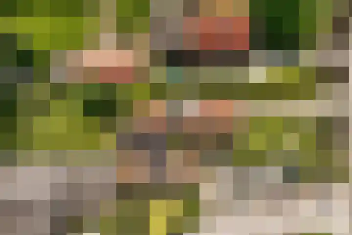 Kadoelenweg 117 Amsterdam thumbnail 39