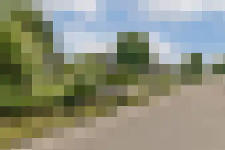 Kadoelenweg 117 Amsterdam thumbnail 7