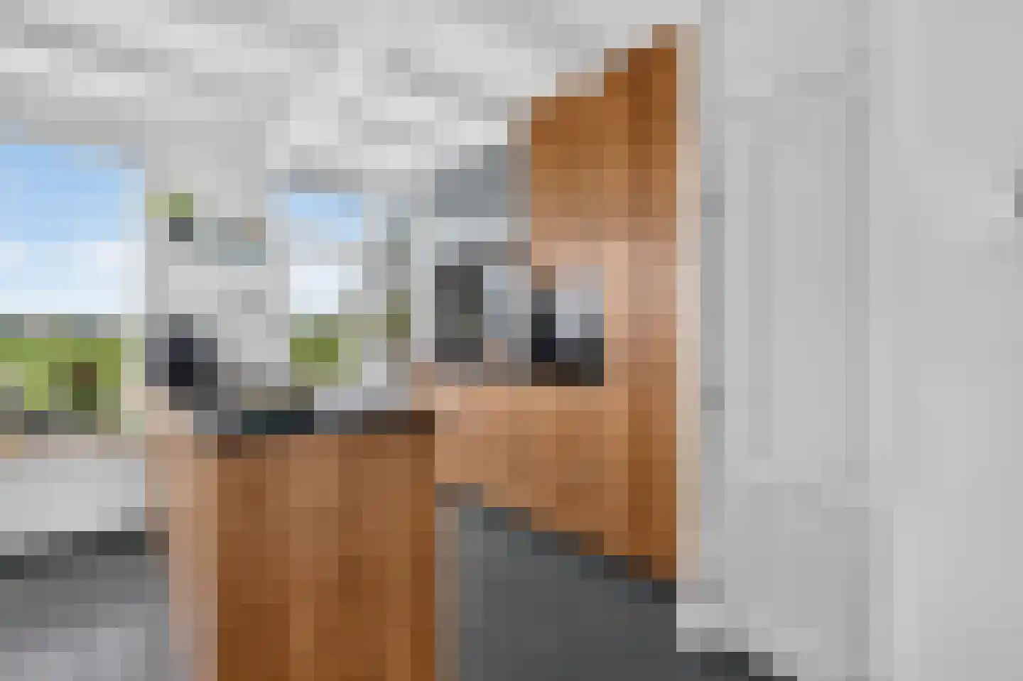 Kadoelenweg 220 Amsterdam thumbnail 11
