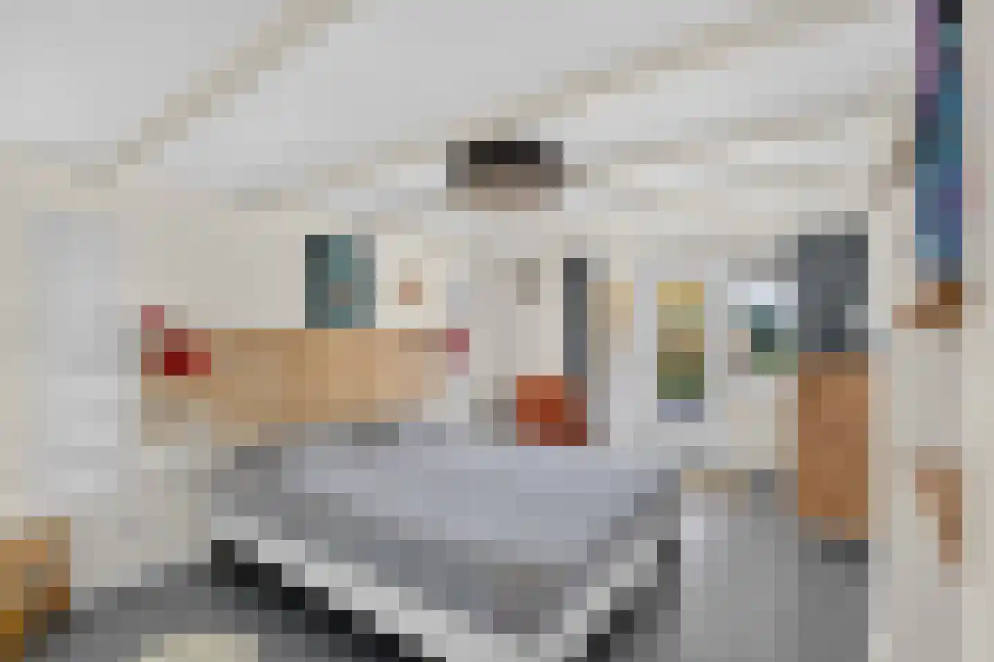 Kadoelenweg 220 Amsterdam thumbnail 34