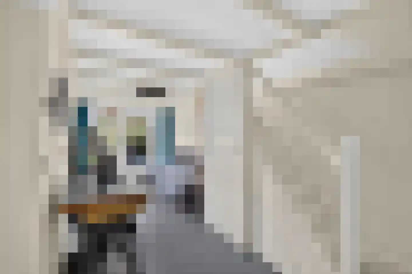 Kadoelenweg 220 Amsterdam thumbnail 42