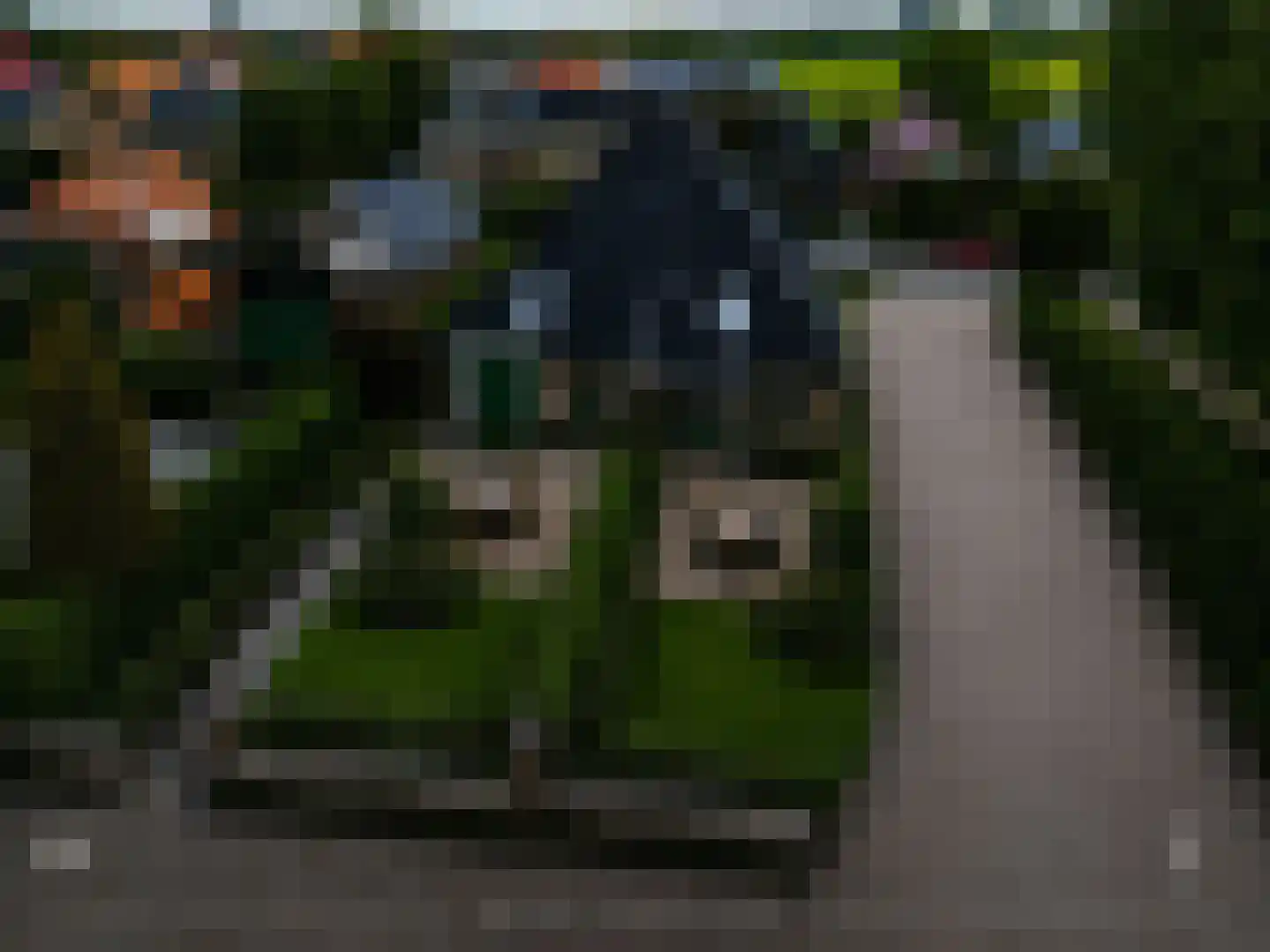 Kadoelenweg 221 W Amsterdam thumbnail 26