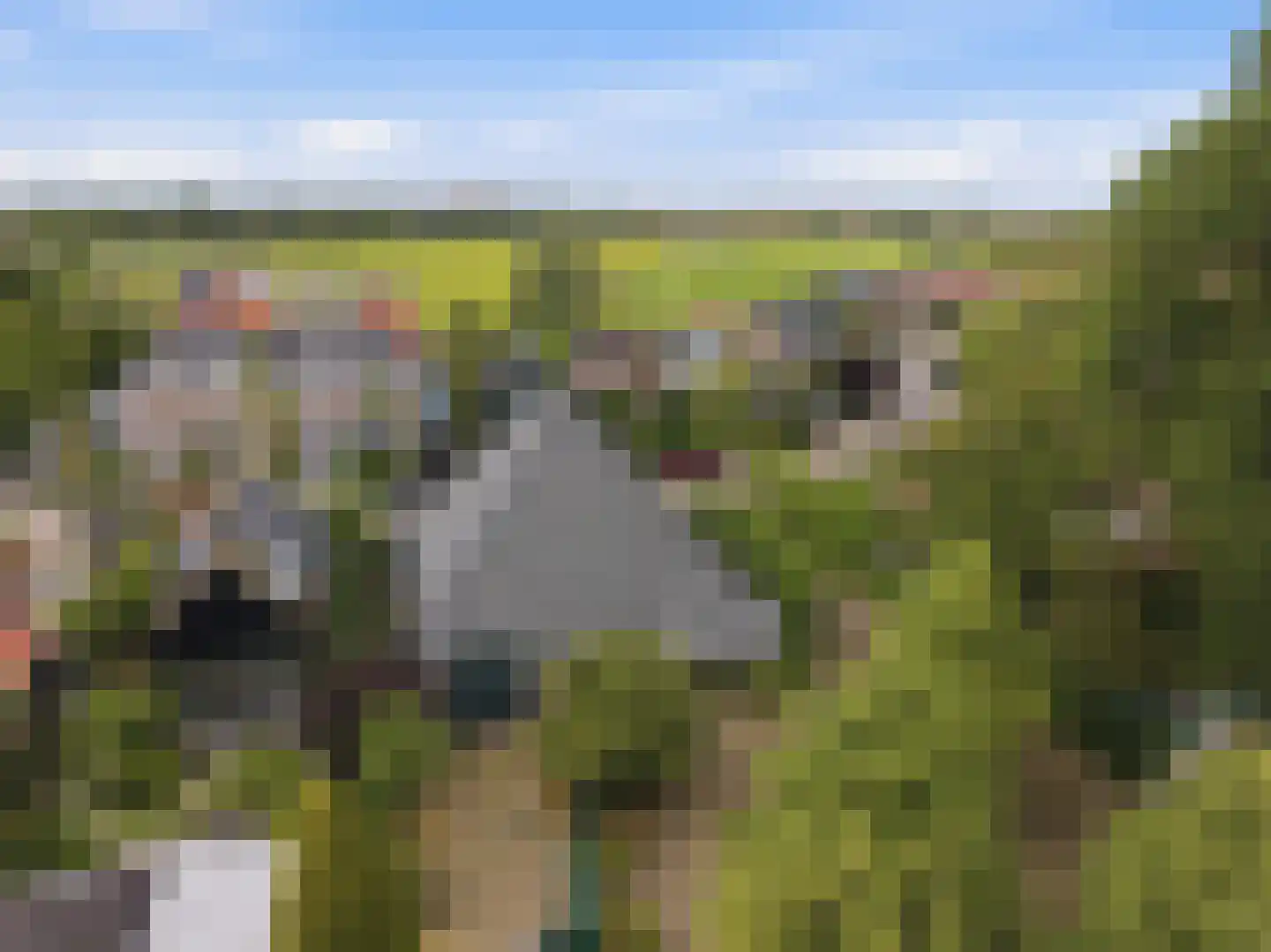 Kadoelenweg 221 W Amsterdam thumbnail 35