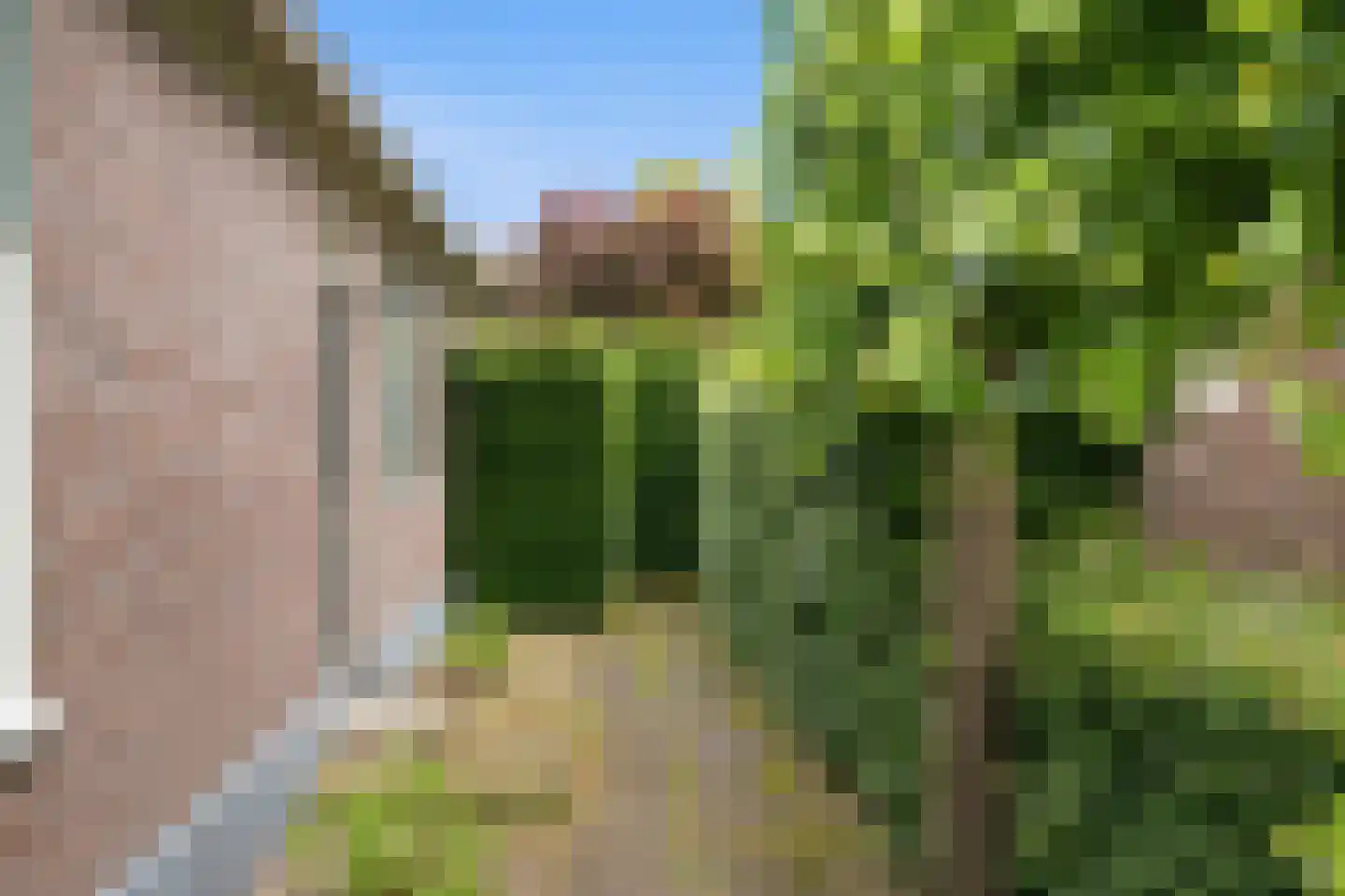 Kadoelenweg 221 W Amsterdam thumbnail 7