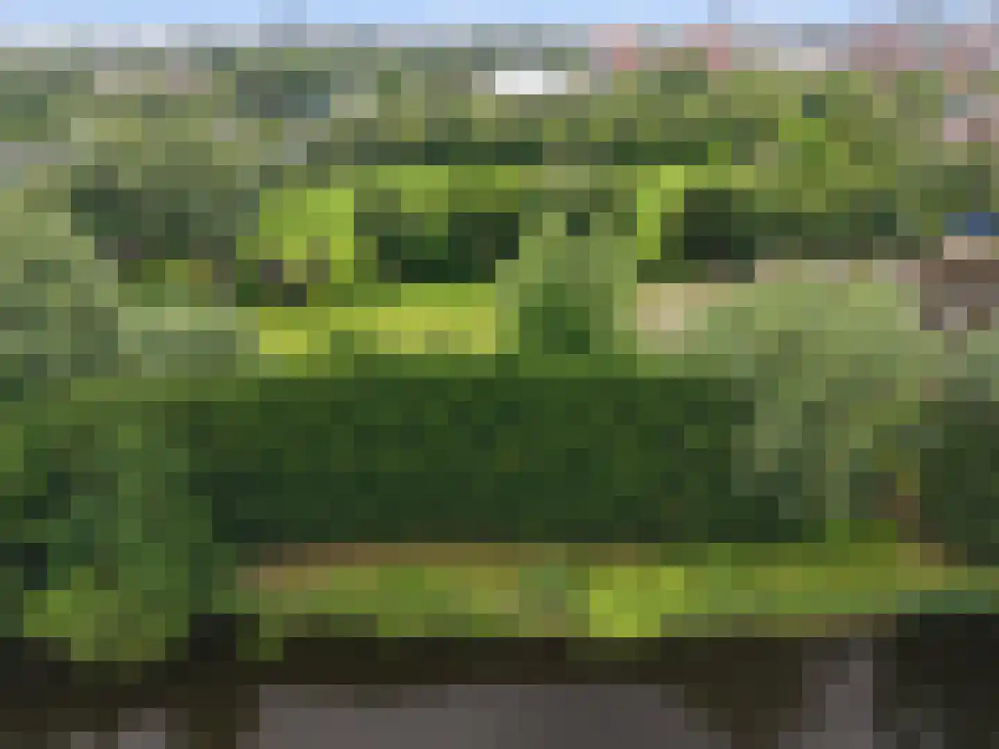 Kadoelenweg 221 Z Amsterdam thumbnail 28